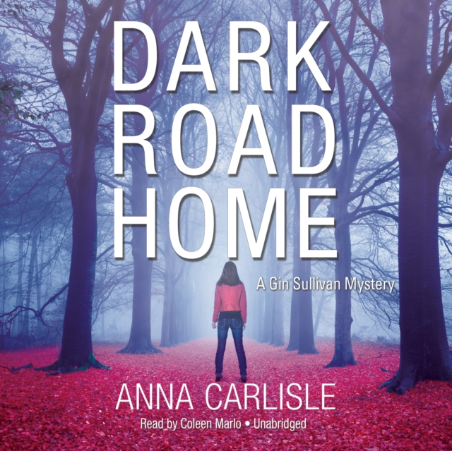Dark Road Home, eAudiobook MP3 eaudioBook