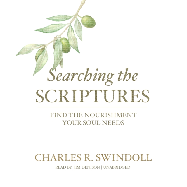 Searching the Scriptures, eAudiobook MP3 eaudioBook