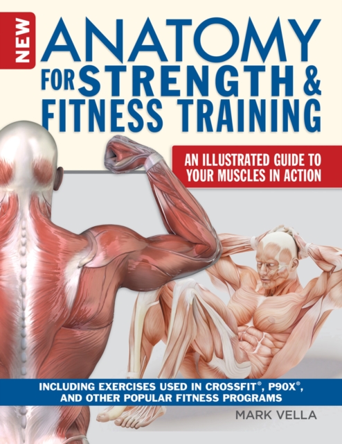 Anatomy for Strength and Fitness Training, Paperback / softback Book