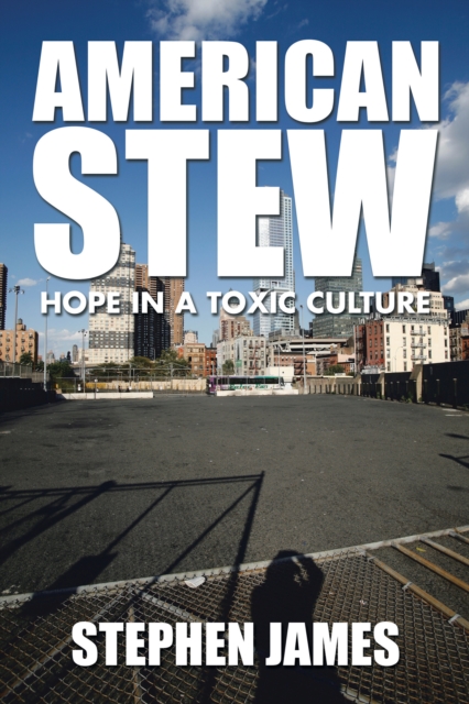 American Stew : Hope in a Toxic Culture, EPUB eBook
