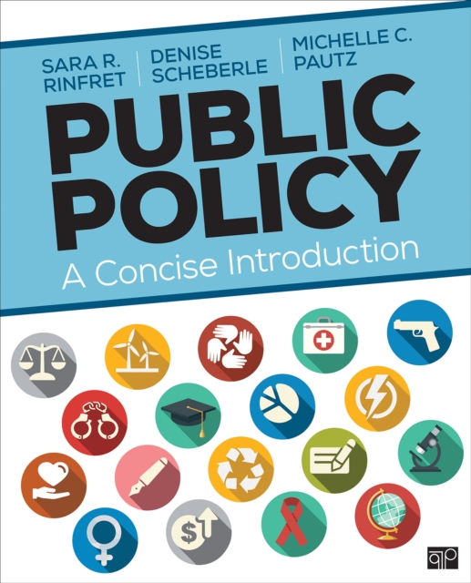 Public Policy : A Concise Introduction, EPUB eBook