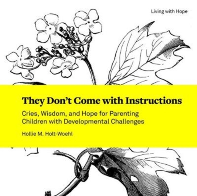 They Don't Come with Instructions : Cries, Wisdom, and Hope for Parenting Children with Developmental Challenges, Paperback / softback Book