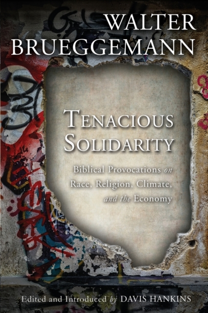 Tenacious Solidarity : Biblical Provocations on Race, Religion, Climate, and the Economy, Paperback / softback Book
