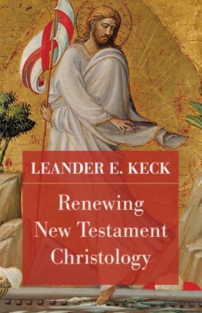 Renewing New Testament Christology, Hardback Book