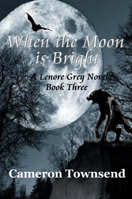 When the Moon is Bright, Paperback / softback Book