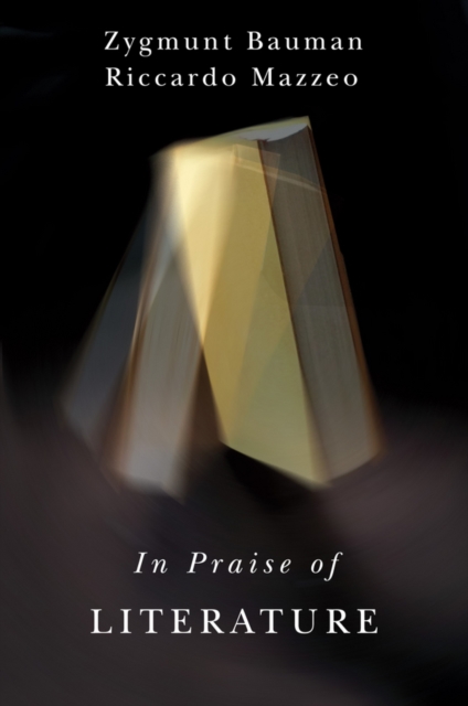 In Praise of Literature, Paperback / softback Book