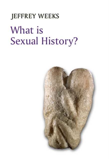 What is Sexual History?, EPUB eBook