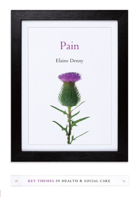 Pain : A Sociological Introduction, EPUB eBook