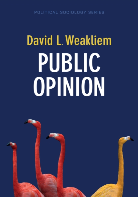 Public Opinion, Paperback / softback Book