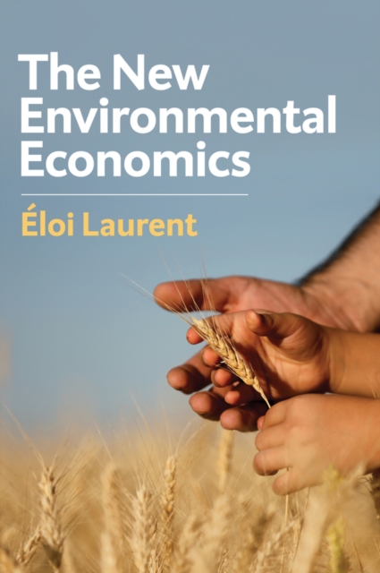 The New Environmental Economics : Sustainability and Justice, Paperback / softback Book