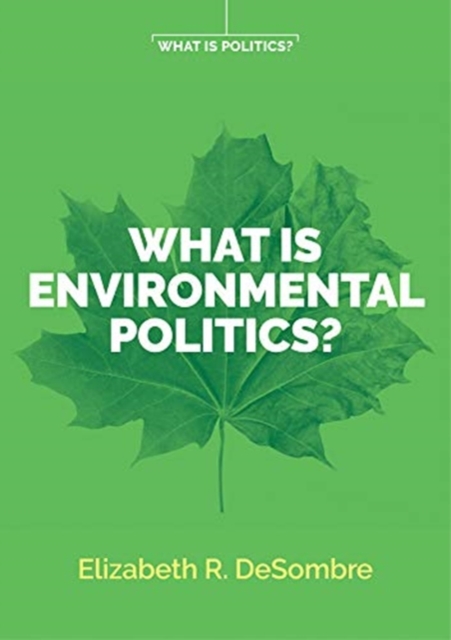 What is Environmental Politics?, Paperback / softback Book