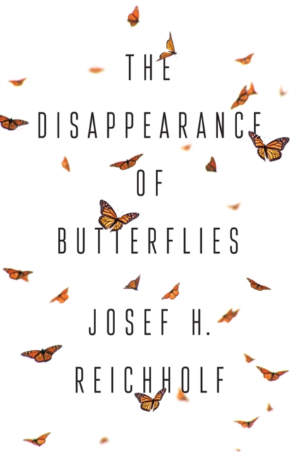The Disappearance of Butterflies, Hardback Book