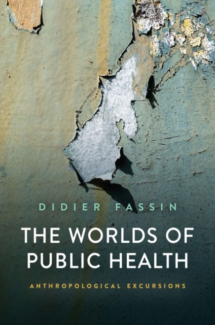 The Worlds of Public Health : Anthropological Excursions, PDF eBook