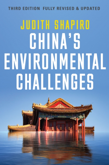 China's Environmental Challenges, Paperback / softback Book