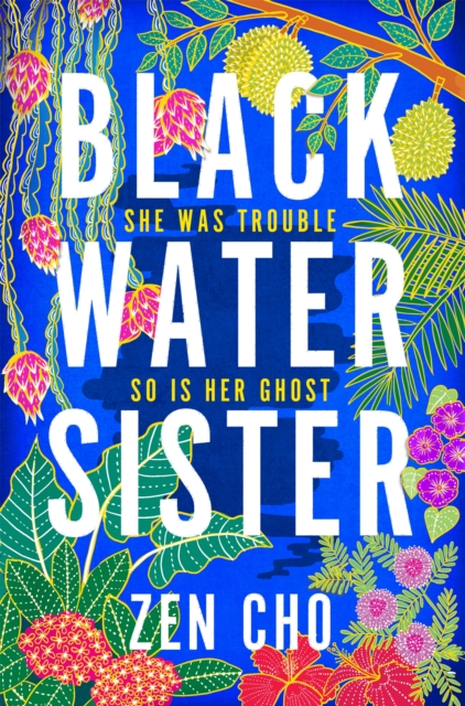 Black Water Sister, Paperback / softback Book