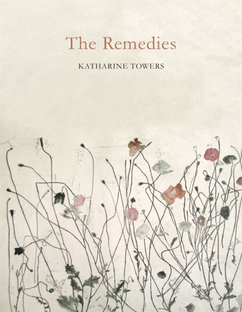The Remedies, Paperback / softback Book