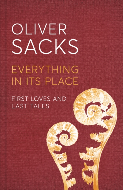 Everything in Its Place : First Loves and Last Tales, Hardback Book