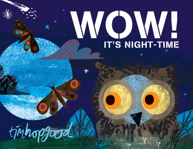 WOW! It's Night-time, Board book Book
