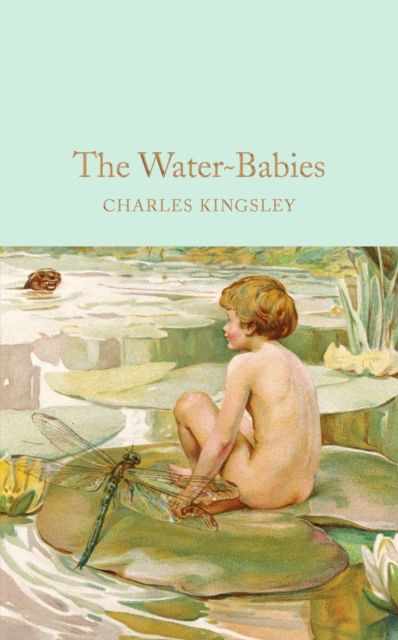 The Water-Babies : A Fairy Tale for a Land-Baby, EPUB eBook