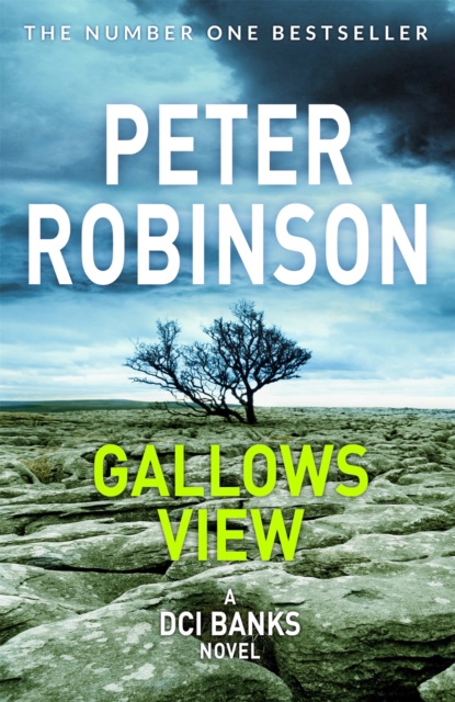 Gallows View, Paperback / softback Book