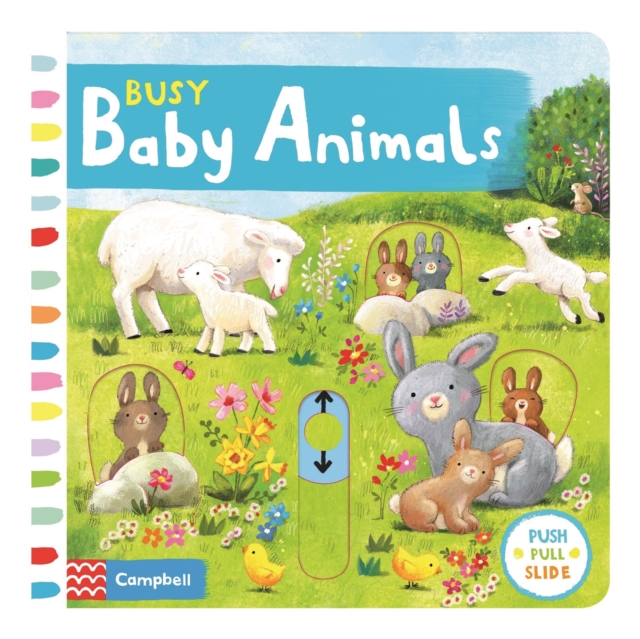 Busy Baby Animals, Board book Book