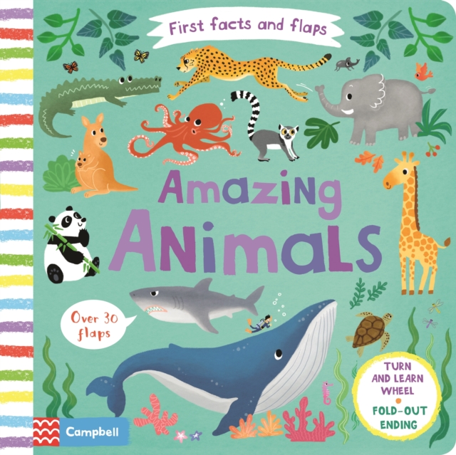 Amazing Animals, Board book Book