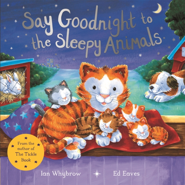Say Goodnight to the Sleepy Animals, Paperback / softback Book