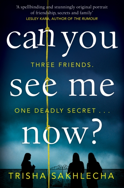 Can You See Me Now?, Paperback / softback Book