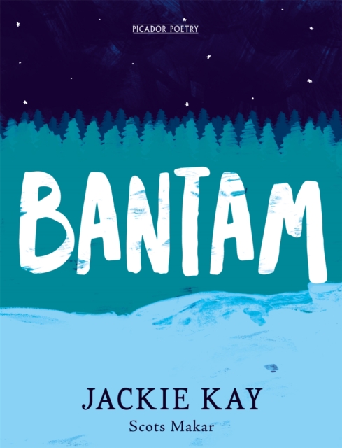 Bantam, Hardback Book