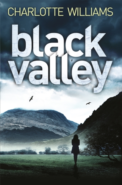Black Valley, Paperback / softback Book
