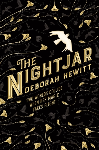The Nightjar, Paperback / softback Book