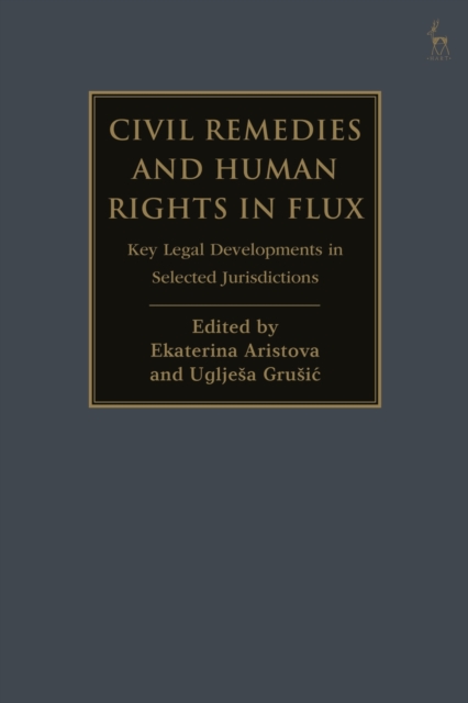 Civil Remedies and Human Rights in Flux : Key Legal Developments in Selected Jurisdictions, EPUB eBook