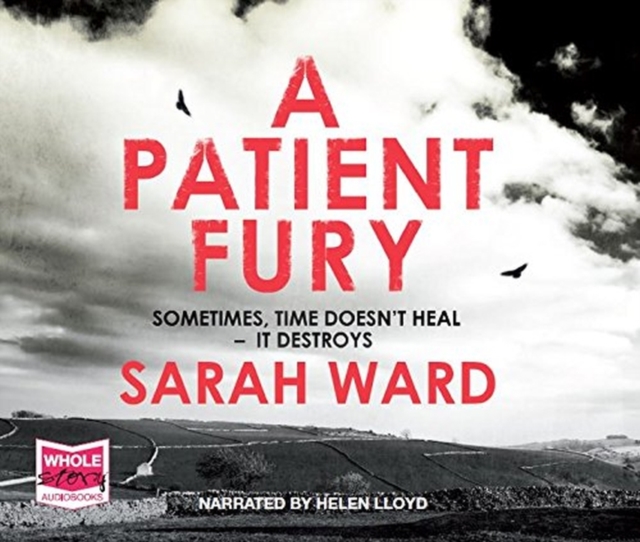 A Patient Fury, CD-Audio Book
