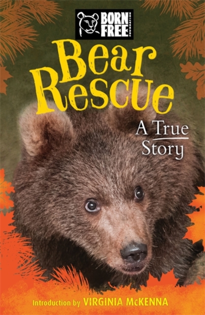 Born Free: Bear Rescue, Paperback / softback Book