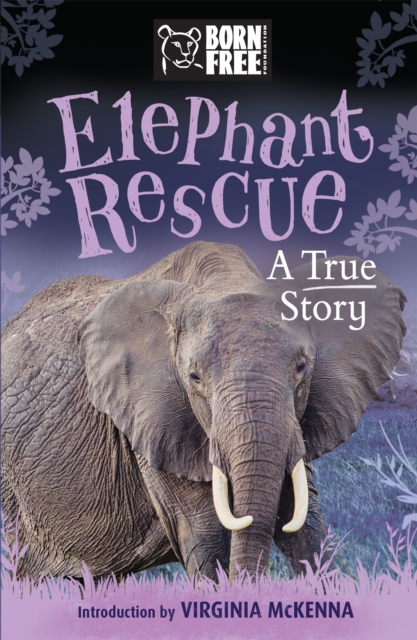 Born Free: Elephant Rescue : A True Story, Paperback / softback Book