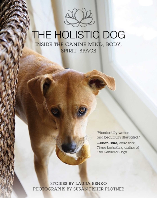 The Holistic Dog : Inside the Canine Mind, Body, Spirit, Space, EPUB eBook
