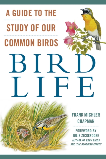 Bird Life : A Guide to the Study of Our Common Birds, EPUB eBook