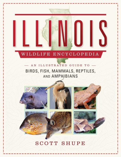 The Illinois Wildlife Encyclopedia : An Illustrated Guide to Birds, Fish, Mammals, Reptiles, and Amphibians, EPUB eBook