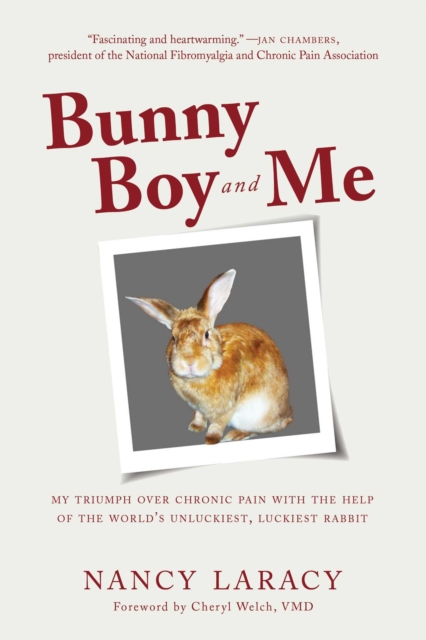 Bunny Boy and Me : My Triumph over Chronic Pain with the Help of the World's Unluckiest, Luckiest Rabbit, EPUB eBook