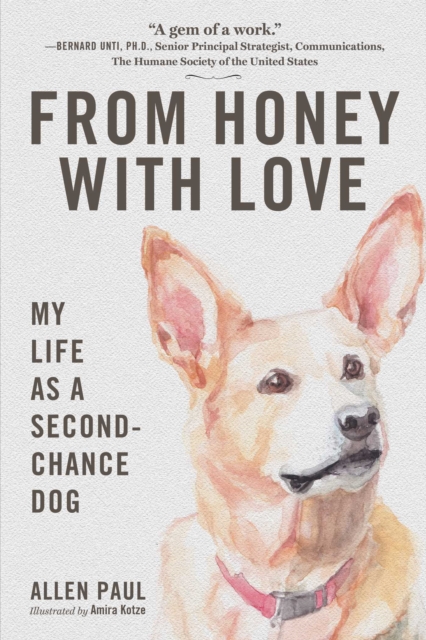 From Honey With Love : My Life as a Second-Chance Dog, Paperback / softback Book