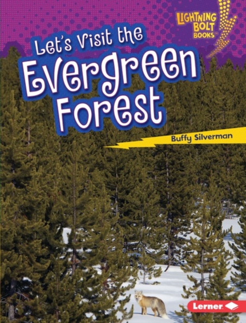 Let's Visit the Evergreen Forest, PDF eBook