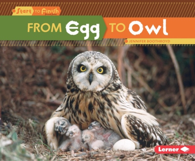 From Egg to Owl, PDF eBook