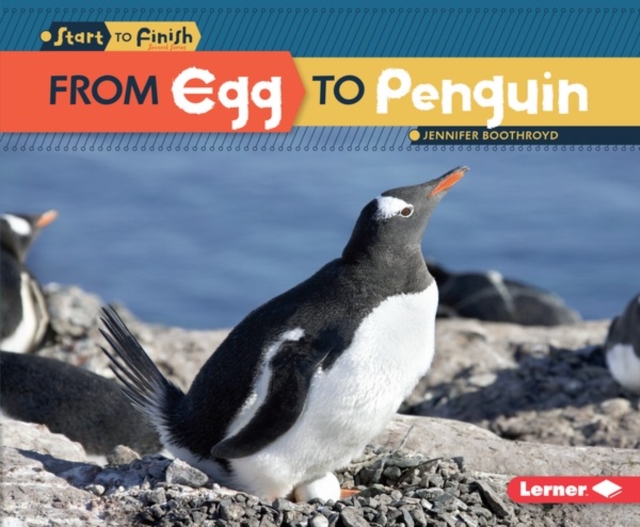 From Egg to Penguin, PDF eBook