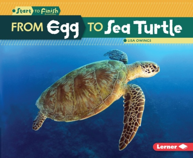 From Egg to Sea Turtle, PDF eBook