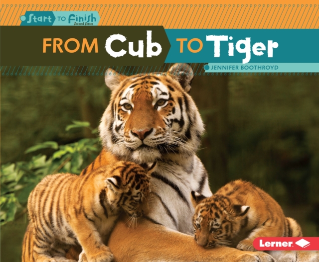 From Cub to Tiger, EPUB eBook