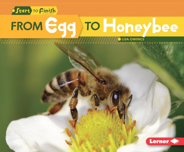From Egg to Honeybee, EPUB eBook