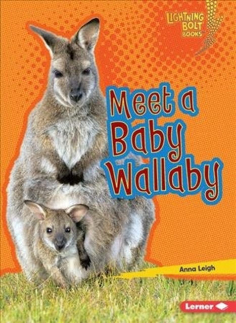 Meet a Baby Wallaby, Paperback / softback Book