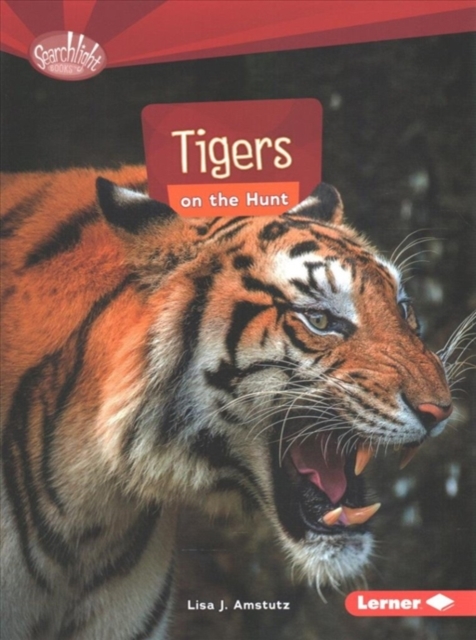 Tigers on the Hunt, Paperback / softback Book