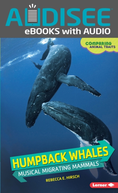 Humpback Whales : Musical Migrating Mammals, EPUB eBook