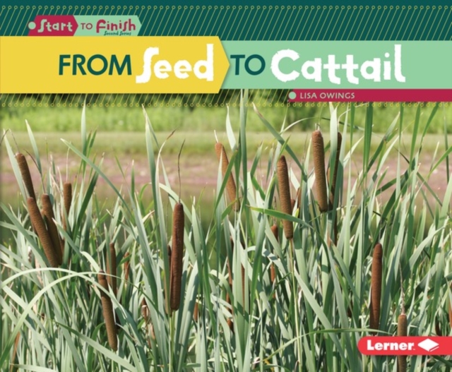 From Seed to Cattail, EPUB eBook